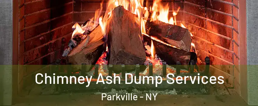 Chimney Ash Dump Services Parkville - NY