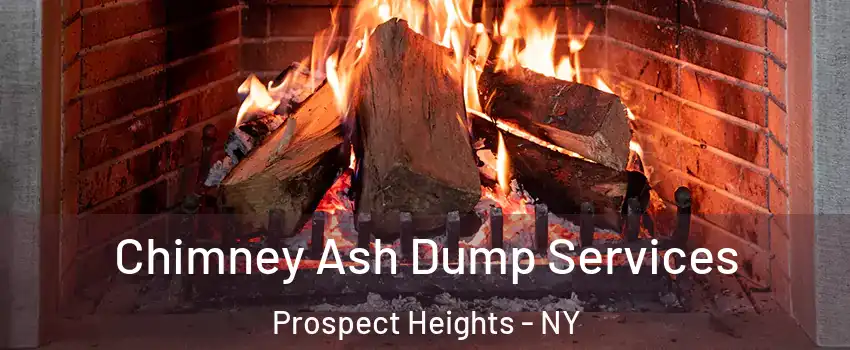 Chimney Ash Dump Services Prospect Heights - NY