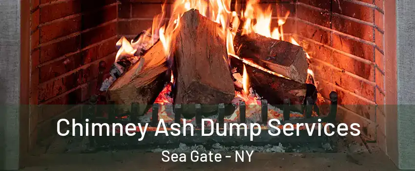 Chimney Ash Dump Services Sea Gate - NY