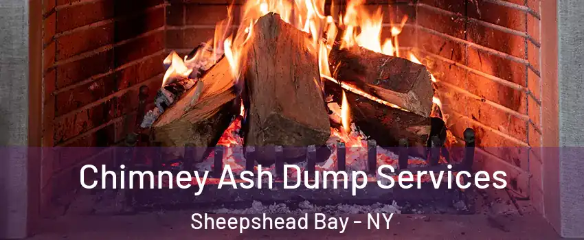 Chimney Ash Dump Services Sheepshead Bay - NY