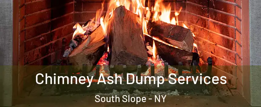 Chimney Ash Dump Services South Slope - NY