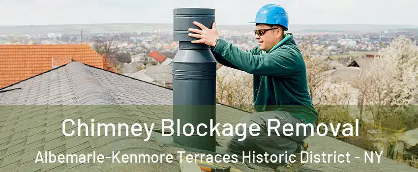 Chimney Blockage Removal Albemarle-Kenmore Terraces Historic District - NY