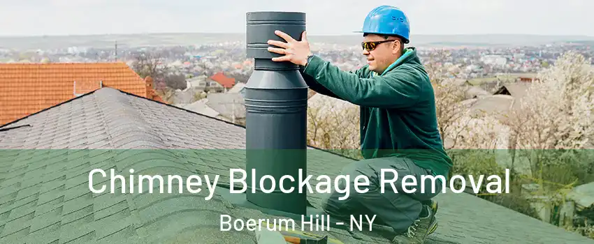 Chimney Blockage Removal Boerum Hill - NY