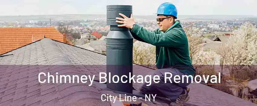 Chimney Blockage Removal City Line - NY