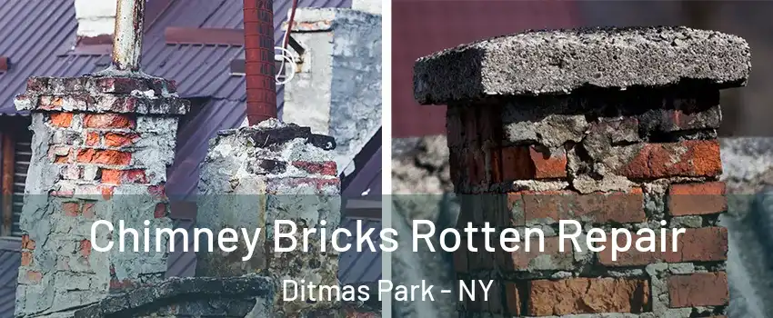 Chimney Bricks Rotten Repair Ditmas Park - NY