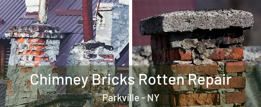 Chimney Bricks Rotten Repair Parkville - NY