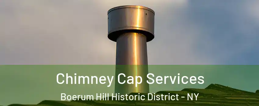 Chimney Cap Services Boerum Hill Historic District - NY