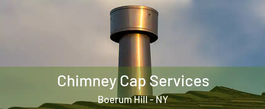 Chimney Cap Services Boerum Hill - NY