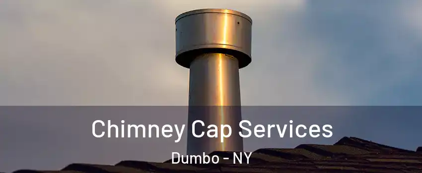 Chimney Cap Services Dumbo - NY