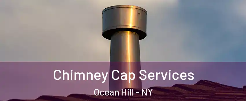 Chimney Cap Services Ocean Hill - NY