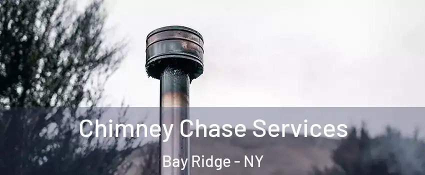 Chimney Chase Services Bay Ridge - NY