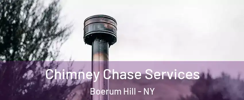 Chimney Chase Services Boerum Hill - NY