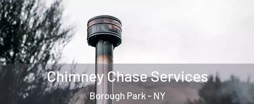 Chimney Chase Services Borough Park - NY