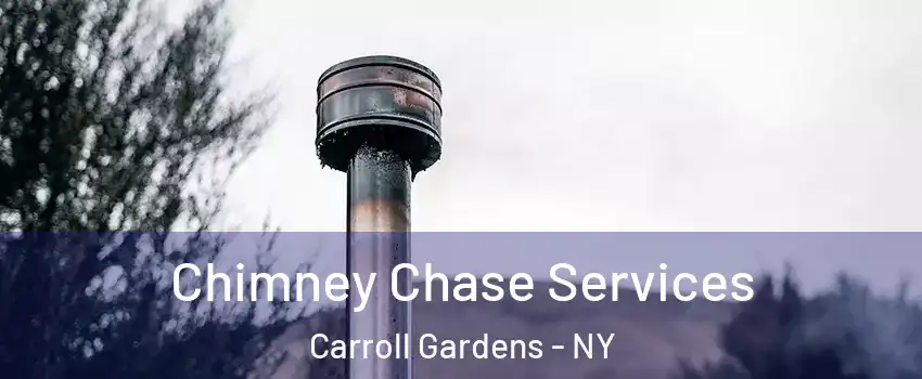 Chimney Chase Services Carroll Gardens - NY