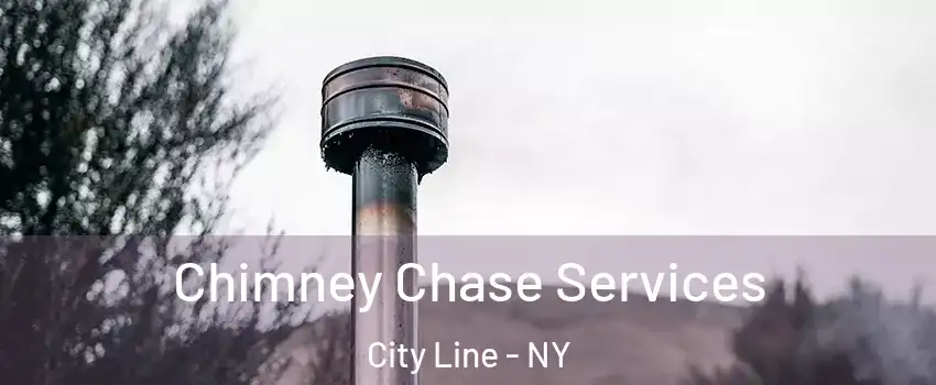 Chimney Chase Services City Line - NY