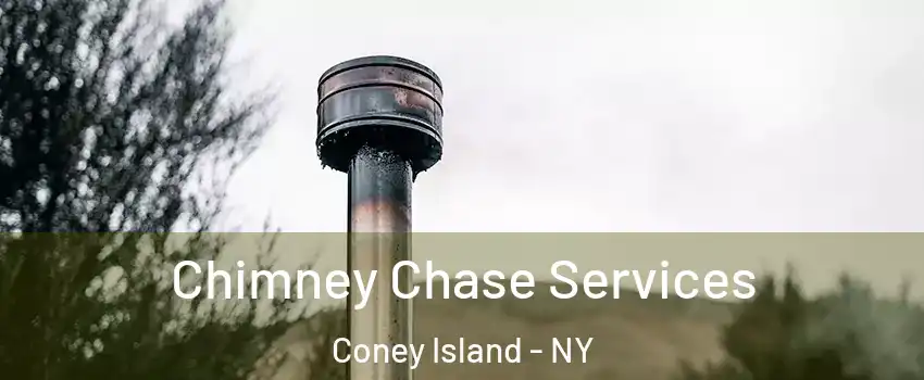 Chimney Chase Services Coney Island - NY