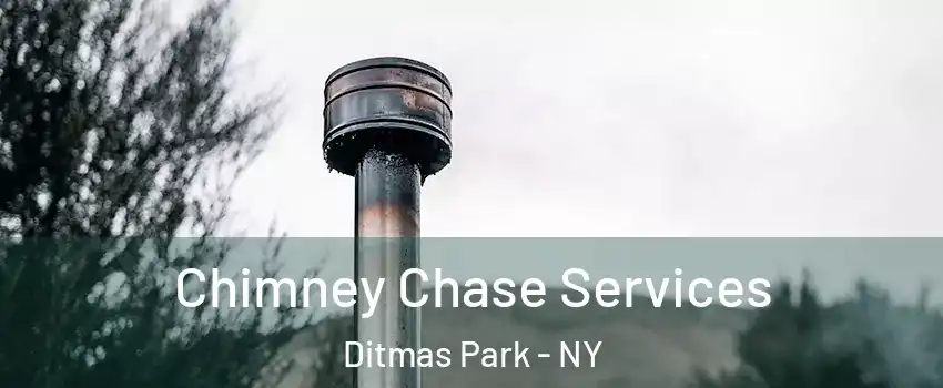 Chimney Chase Services Ditmas Park - NY