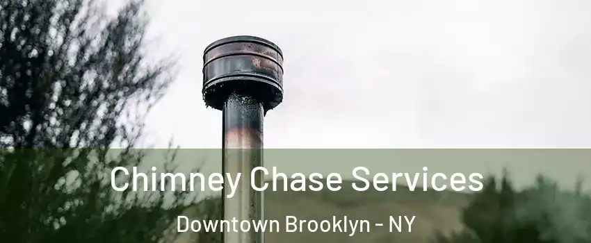 Chimney Chase Services Downtown Brooklyn - NY