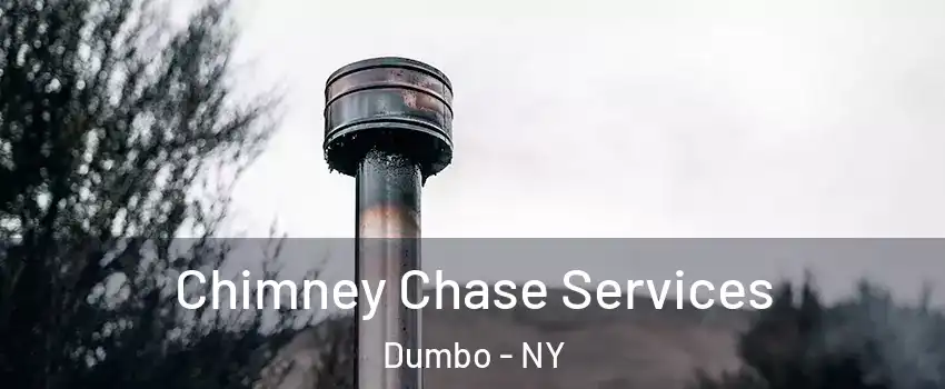 Chimney Chase Services Dumbo - NY