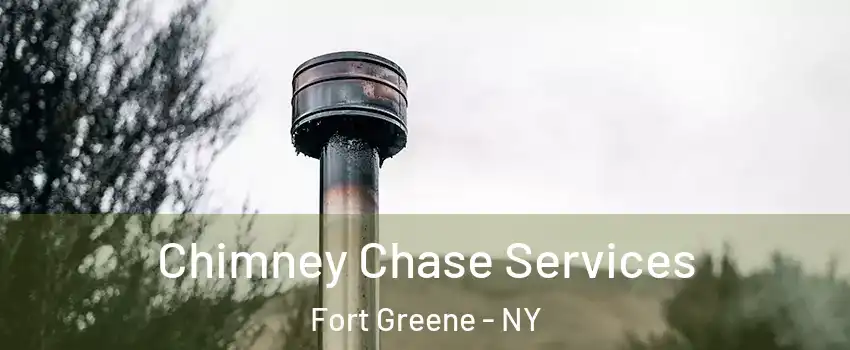 Chimney Chase Services Fort Greene - NY