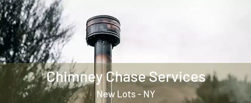 Chimney Chase Services New Lots - NY