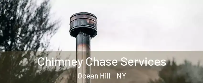 Chimney Chase Services Ocean Hill - NY