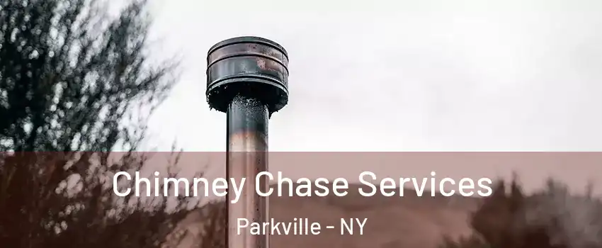 Chimney Chase Services Parkville - NY