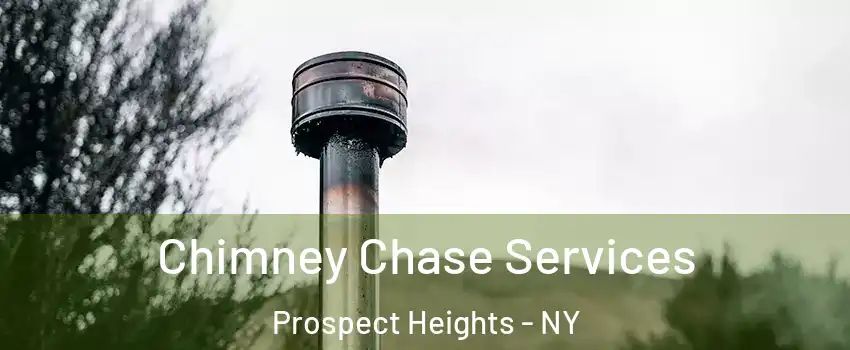 Chimney Chase Services Prospect Heights - NY