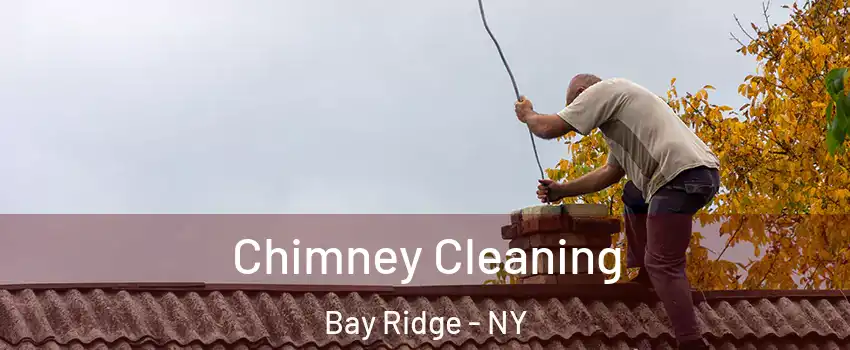 Chimney Cleaning Bay Ridge - NY