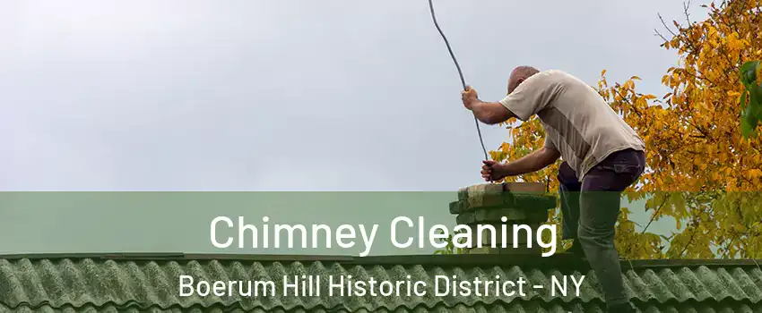 Chimney Cleaning Boerum Hill Historic District - NY