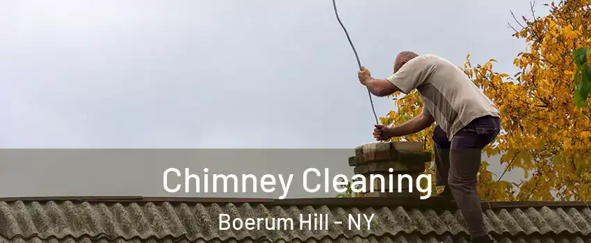 Chimney Cleaning Boerum Hill - NY