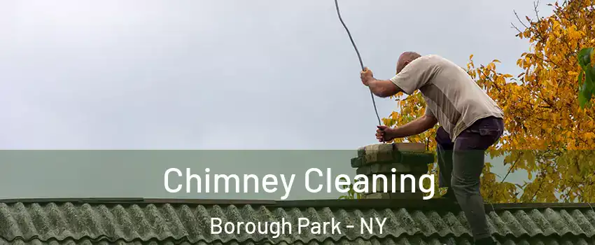 Chimney Cleaning Borough Park - NY