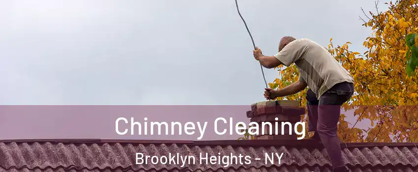 Chimney Cleaning Brooklyn Heights - NY