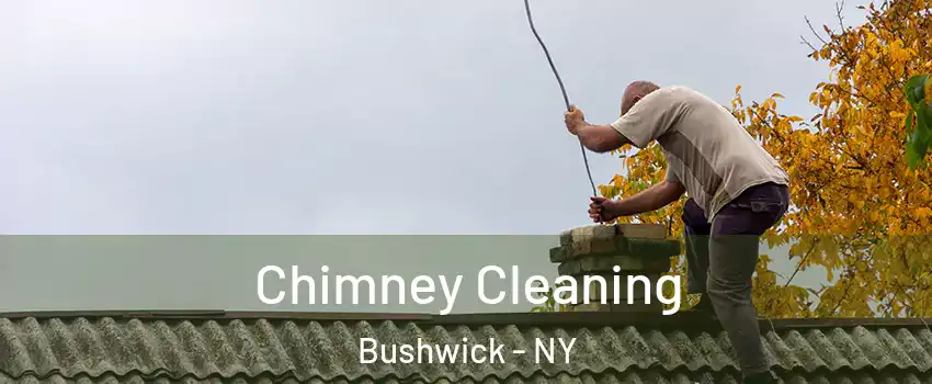 Chimney Cleaning Bushwick - NY