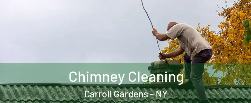 Chimney Cleaning Carroll Gardens - NY