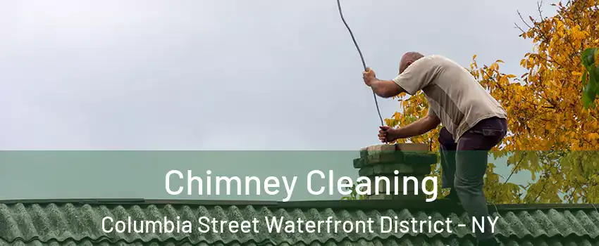 Chimney Cleaning Columbia Street Waterfront District - NY