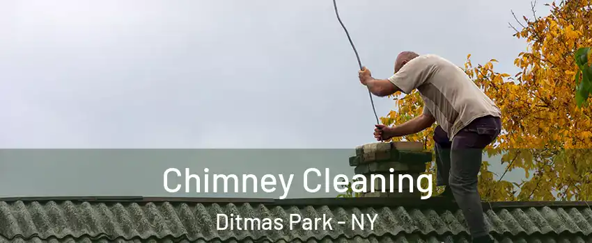 Chimney Cleaning Ditmas Park - NY