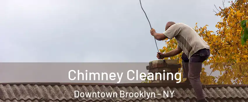 Chimney Cleaning Downtown Brooklyn - NY