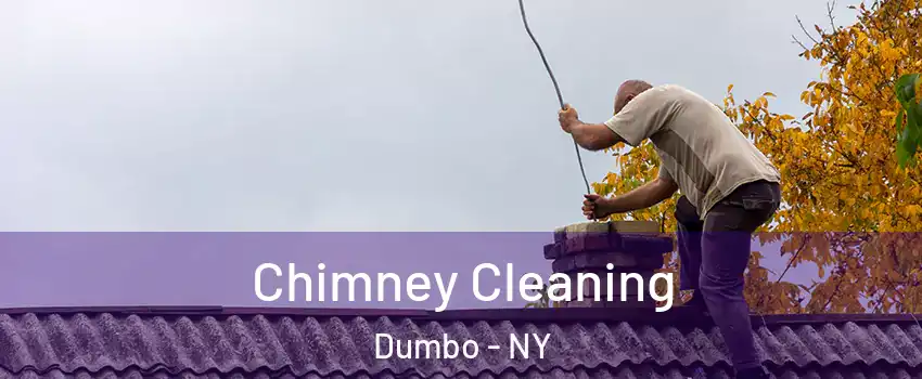 Chimney Cleaning Dumbo - NY