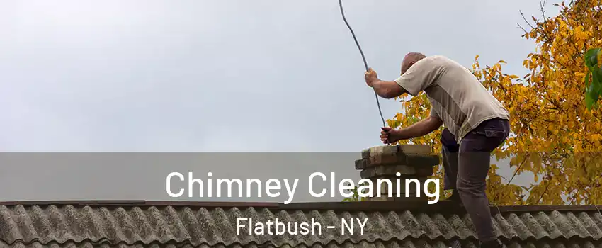 Chimney Cleaning Flatbush - NY