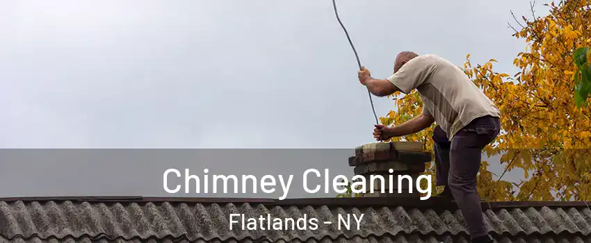 Chimney Cleaning Flatlands - NY