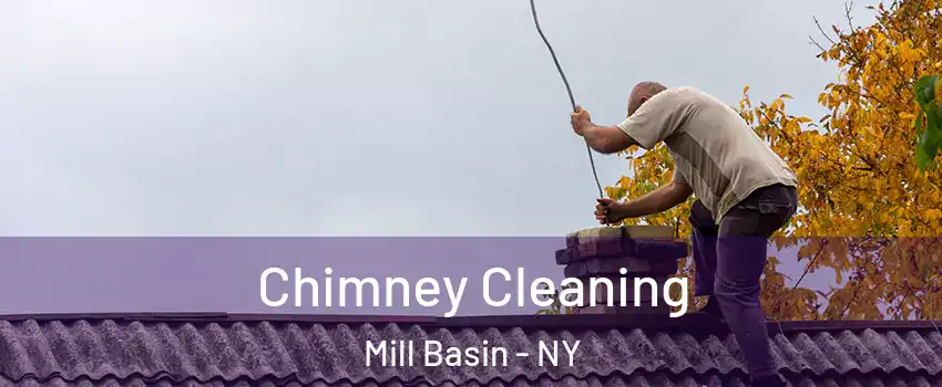 Chimney Cleaning Mill Basin - NY