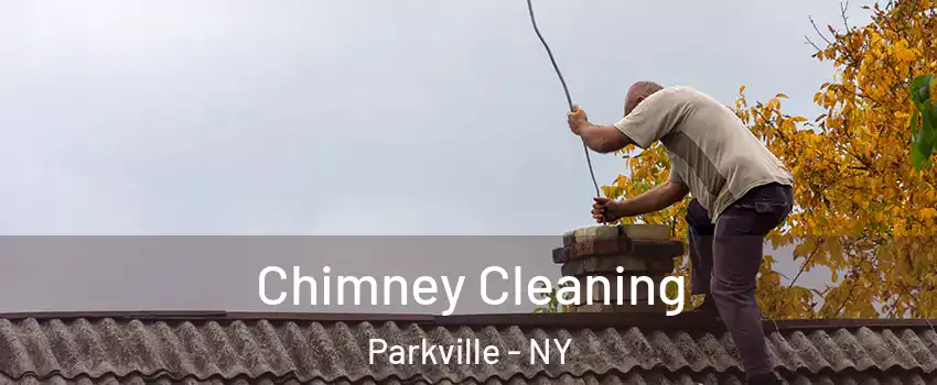 Chimney Cleaning Parkville - NY