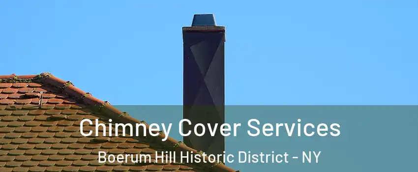 Chimney Cover Services Boerum Hill Historic District - NY