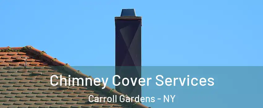 Chimney Cover Services Carroll Gardens - NY