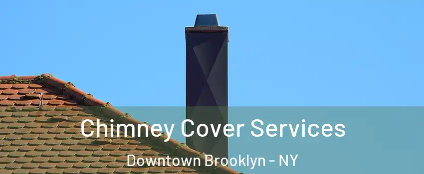 Chimney Cover Services Downtown Brooklyn - NY