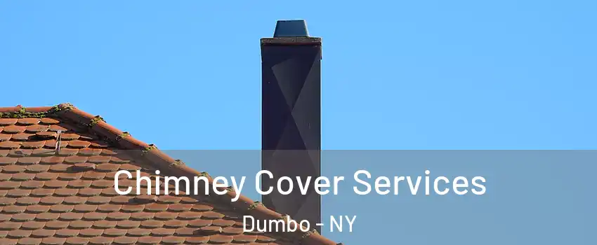 Chimney Cover Services Dumbo - NY