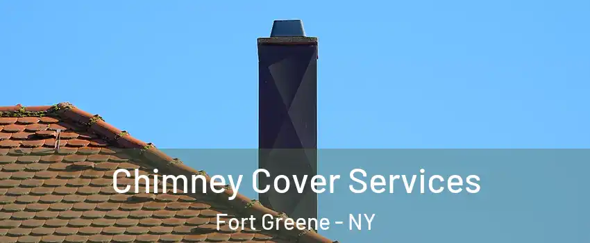 Chimney Cover Services Fort Greene - NY