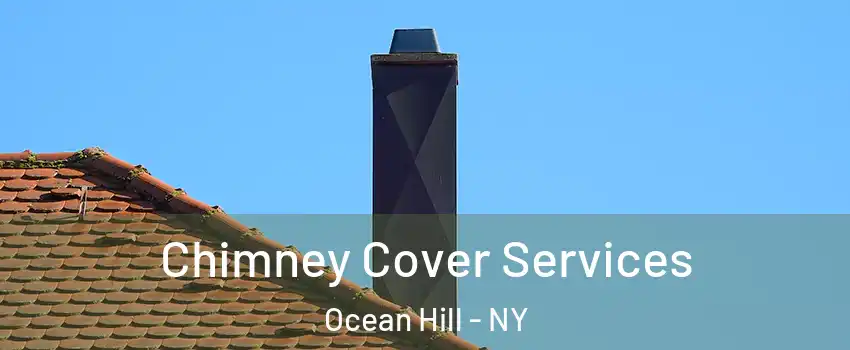 Chimney Cover Services Ocean Hill - NY