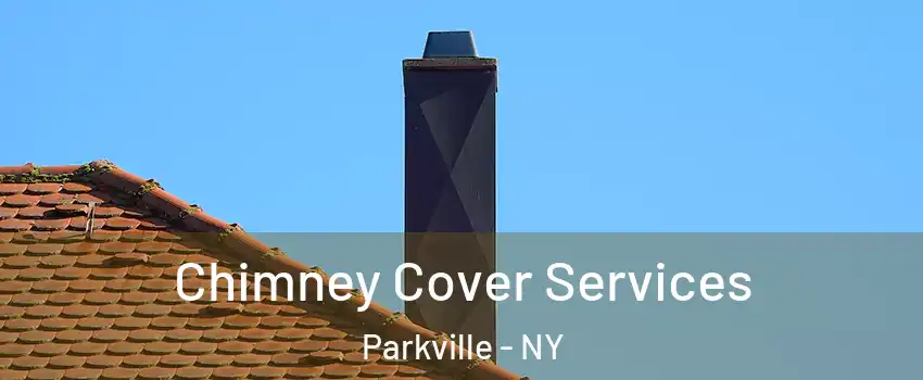 Chimney Cover Services Parkville - NY